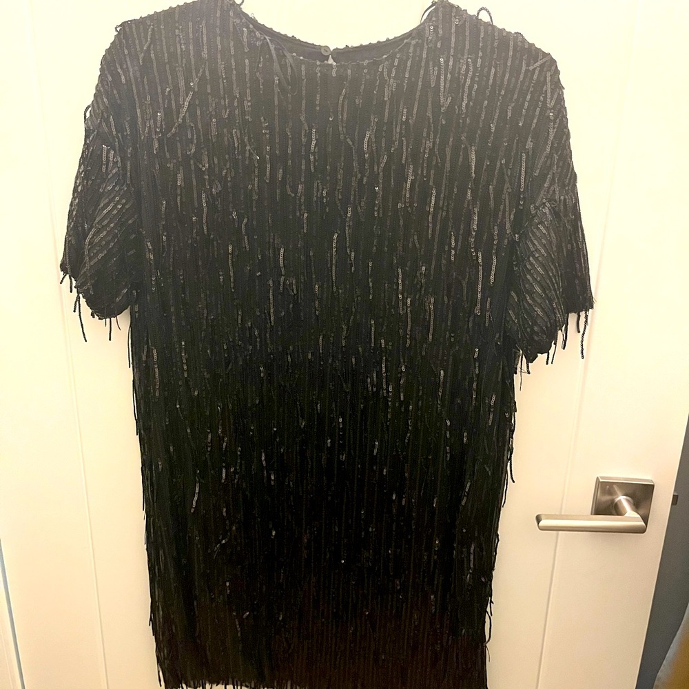Zara_sequin dress_M